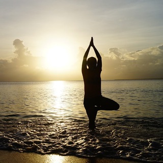 Логотип @pp_fit_yoga - ПП | Йога | Фитнес | Диеты