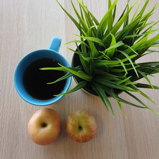 Логотип @pp_sport_receipts - Едим и не толстеем