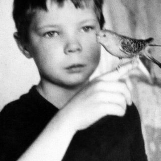 Логотип @ppelevin - Pelevin - трансляция