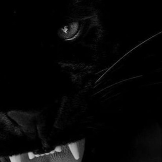 Логотип @pppilr - ittttttm.🖤