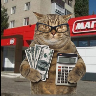 Логотип @pr0mokodik - PROMOкотик | Скидки | Бонусы | Акции