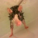 Логотип @pr_from_mars - 😈пиар чат from mars😈