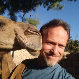 Логотип @praktiki_s_pavlom_schneidermanom - Практики с Павлом Шнейдерманом