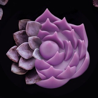 Логотип @pranamateco_chat - Pranamat ECO Чат