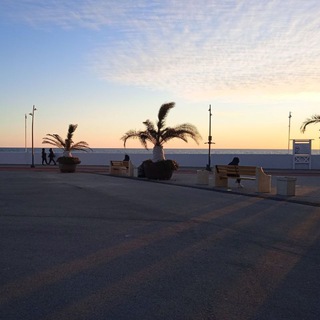 Логотип @prank_245 - Фото для пранков🙉