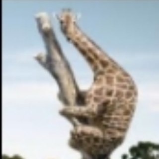 Логотип @pravak_online - Виктор Будусов