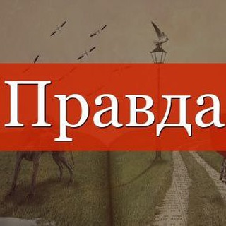 Логотип @pravdatl_info - Правда