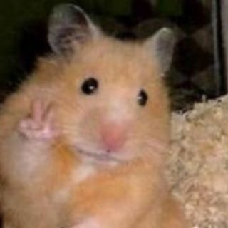 Логотип @pravilaobchagi - Правила Общаги