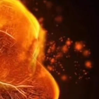 Логотип @pravo_volnih - © пРАво Вольных☀️