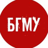 Логотип @pravovoibsmu - Правовой БГМУ Chat