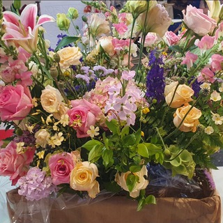 Логотип @prboudiaf - Pr Boudiaf histologie genetique