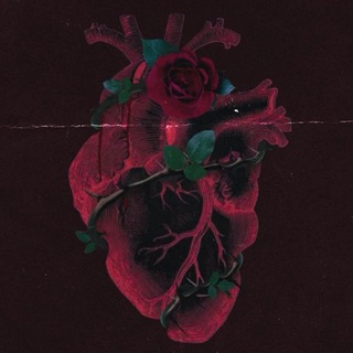 Логотип @predatorsmuz - 𝙿𝚁𝙴𝙳𝙰𝚃𝙾𝚁𝚂𝙼𝚄𝚂