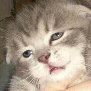 Логотип @predprimematel - Предпримематель