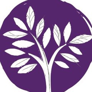 Логотип @premier_medica - Premier Medica