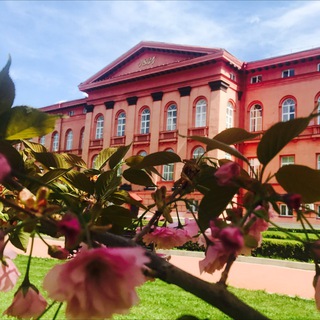 Логотип @prepdep_knu - Підготовче відділення КНУ імені Тараса Шевченка