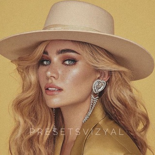 Логотип @presetsvizyal - Пресеты Лайтрум📸 Витрина