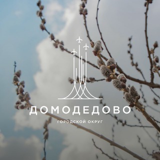 Логотип @pressadomodedovo - Администрация г. о. Домодедово