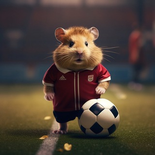 Логотип @pressafoot - ПРЕССИНГ