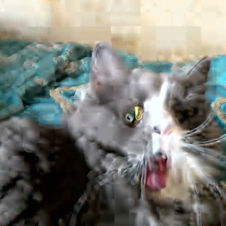 Логотип @pressanykeytocontinue - котъ