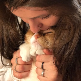 Логотип @pretakote - Благотворительный Мяу-Бутик PRET-A-KOTE