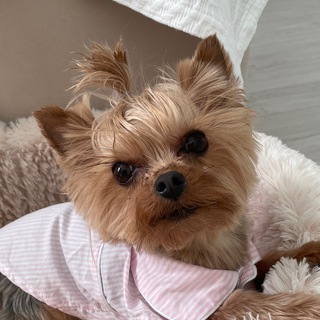 Логотип @pretty_dog_kyasha - Pretty Dog💓