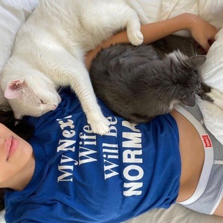 Логотип @prettycats_wb - . ゚ ⋆Kitten’s WB 🫐 ִֶָ ||