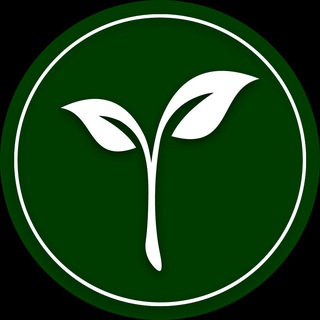 Логотип @prgtips_tg - Здоровеем