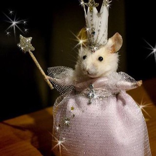 Логотип @prikoldeskaaa - Ничего себе чудеса