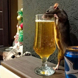 Логотип @prikoldeski - Тебе покажу 💔