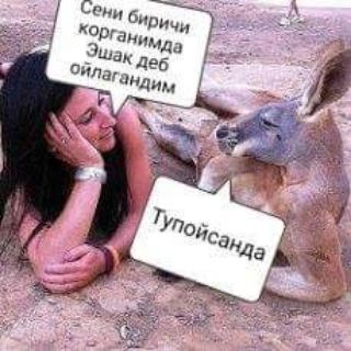 Логотип @prikoli_ot_mira - Приколы от Мира