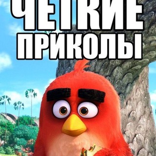 Логотип @prikollls - 🔥ВИДЕО, ПРИКОЛЫ🔥