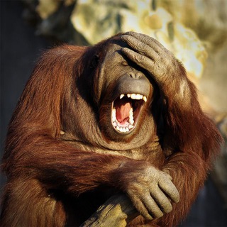 Логотип @prikoluhiotiluhichat - Приколюхи от Илюхи Chat