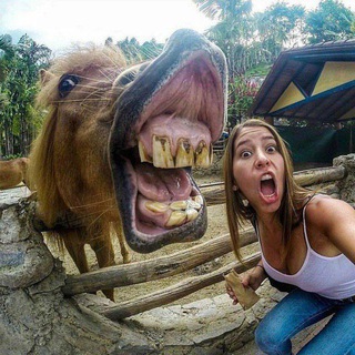 Логотип @prikolvideo22 - Прикольное Видео