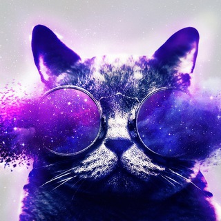 Логотип @prikoly_mems - Пурпурный юмор // Мемы, приколы, юмор