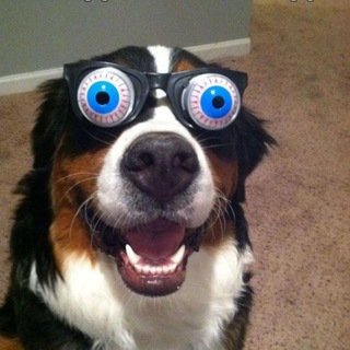 Логотип @prikolyivideo - Смешные видео, приколы, юмор, статусы 😜