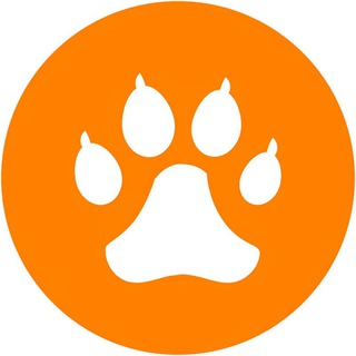 Логотип @prikolyj - Приколы с животными