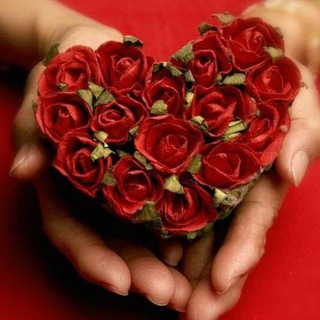 Логотип @primakova8 - 🌺Твоя Открытка🌺