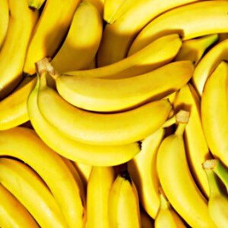 Логотип @primaty - Примати memes