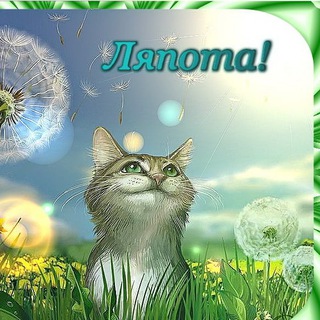 Логотип @primeryy - Ляпота