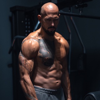 Логотип @primetate - Tate