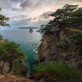 Логотип @primorskiy_turism - Приморский край • Туризм