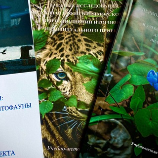 Логотип @primoryenatstudy - Люби и изучай родной Приморский край