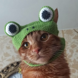Логотип @primsimba - PrimSimba😻