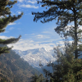 Логотип @prince_travel - База Лехи Кайф