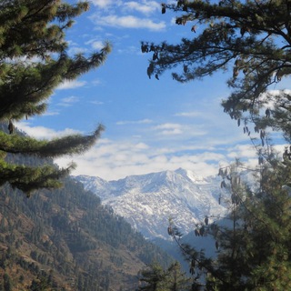 Логотип @prince_trip - Комментарии к группе Путешествия, новости, лайфхки