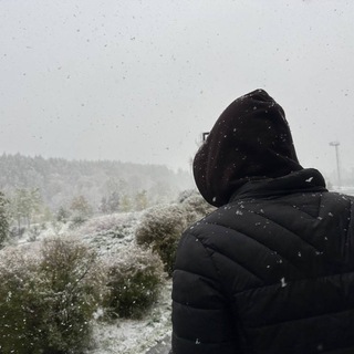 Логотип @princenocrown - prince без короны