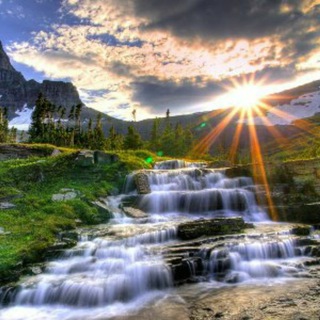 Логотип @prir0da1 - Discovery | Природа | Животные