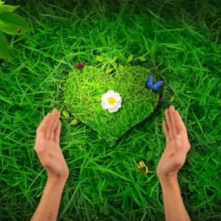 Логотип @priroda_zdorovye - Здоровье от природы