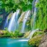 Логотип @prirodarussk - Новостной поток