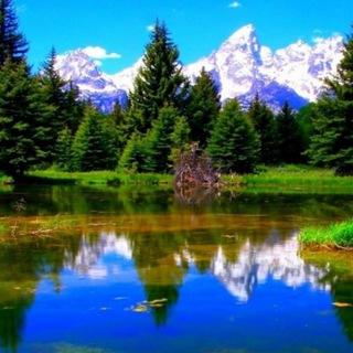 Логотип @prirodatopgg - Природа сегодня